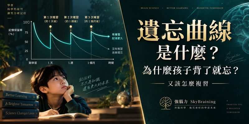 遺忘曲線是什麼？為什麼孩子背了就忘、又該怎麼複習