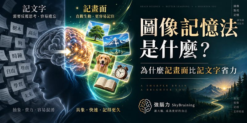 圖像記憶法是什麼？為什麼記畫面比記文字省力